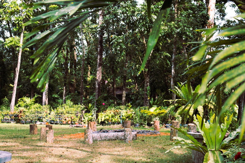 Garden clearing