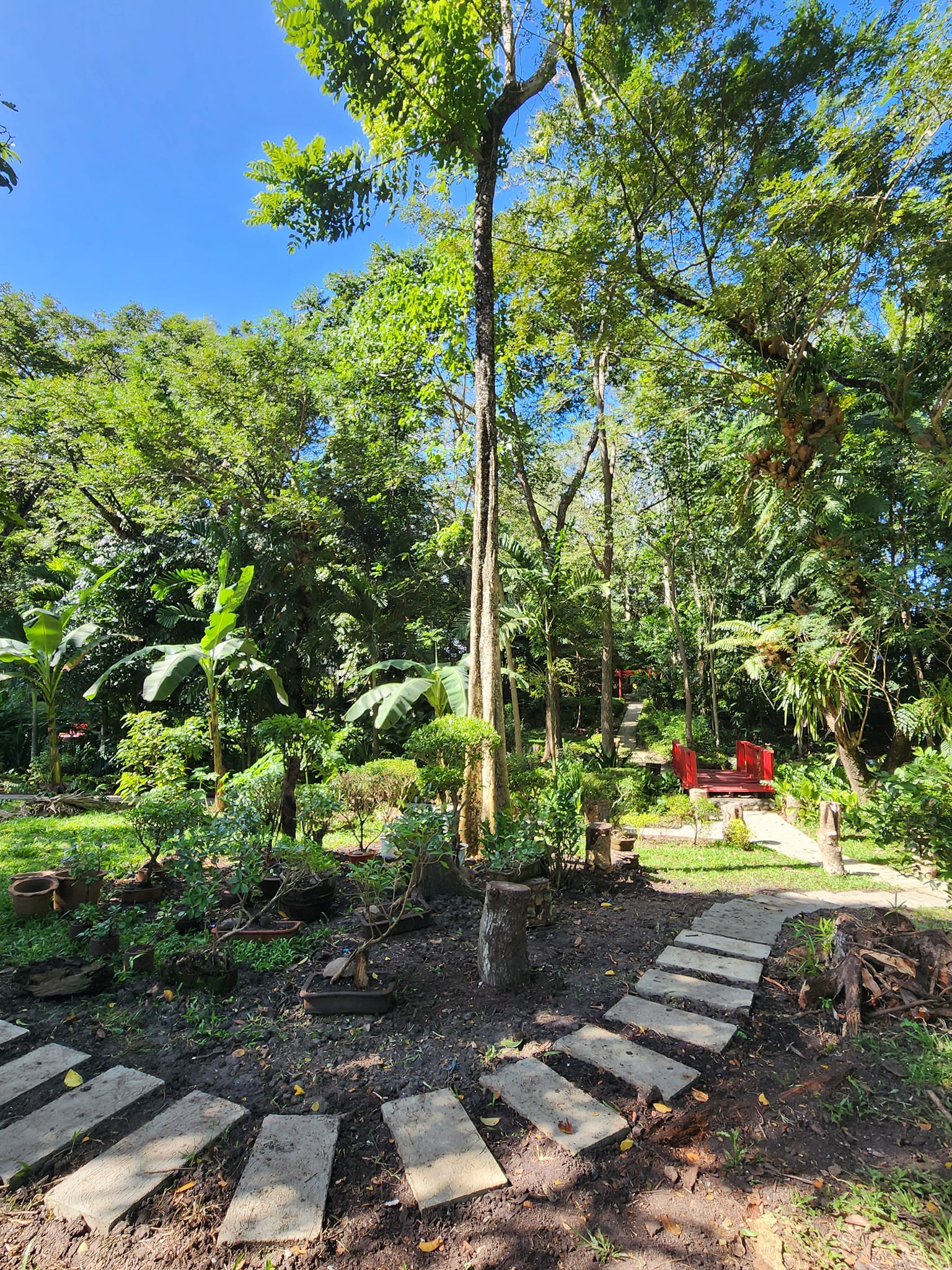 Open garden