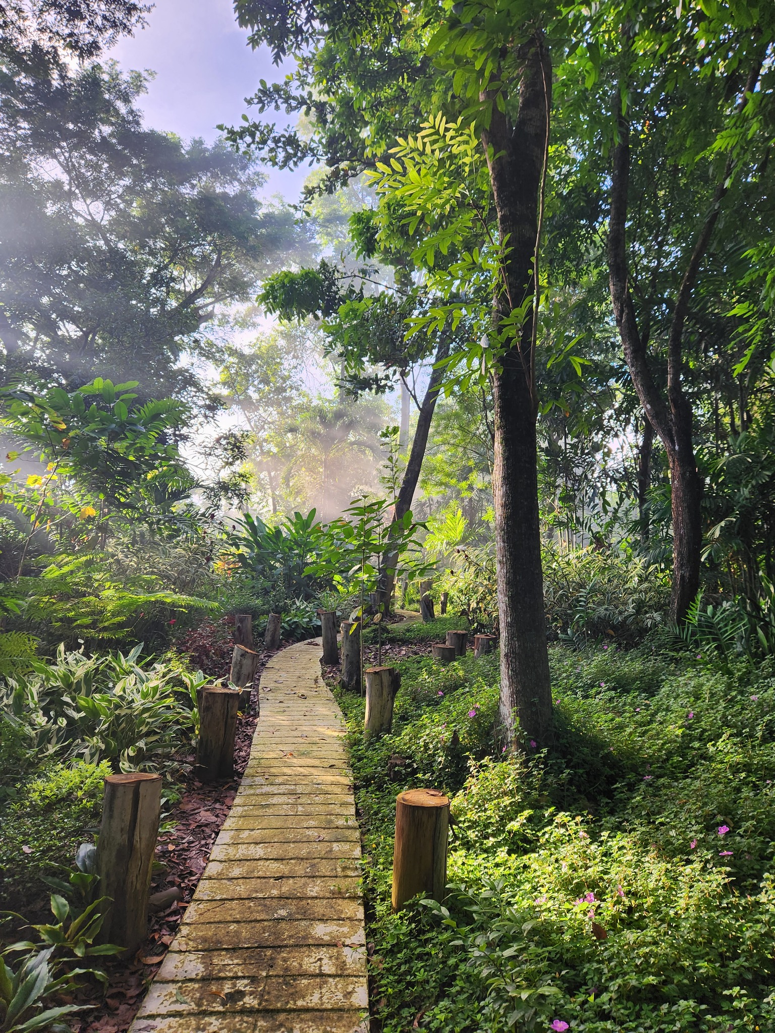 Forest Park Flower Garden