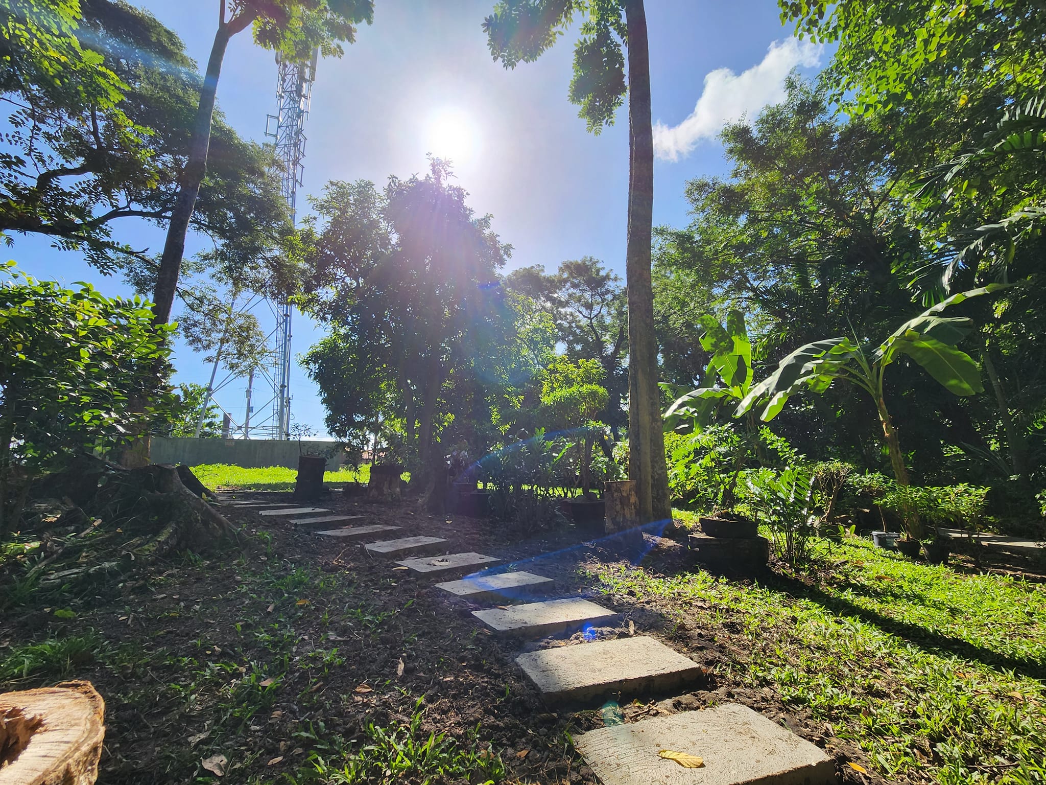 Sunlit garden steps